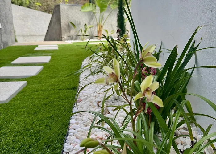 Nest Calheta (Madeira)