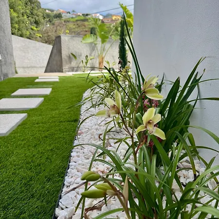 Nest Calheta